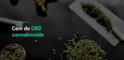 https://www.cannabinoidpluscbd.com