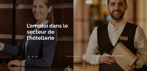 http://www.emploihotellerie.net